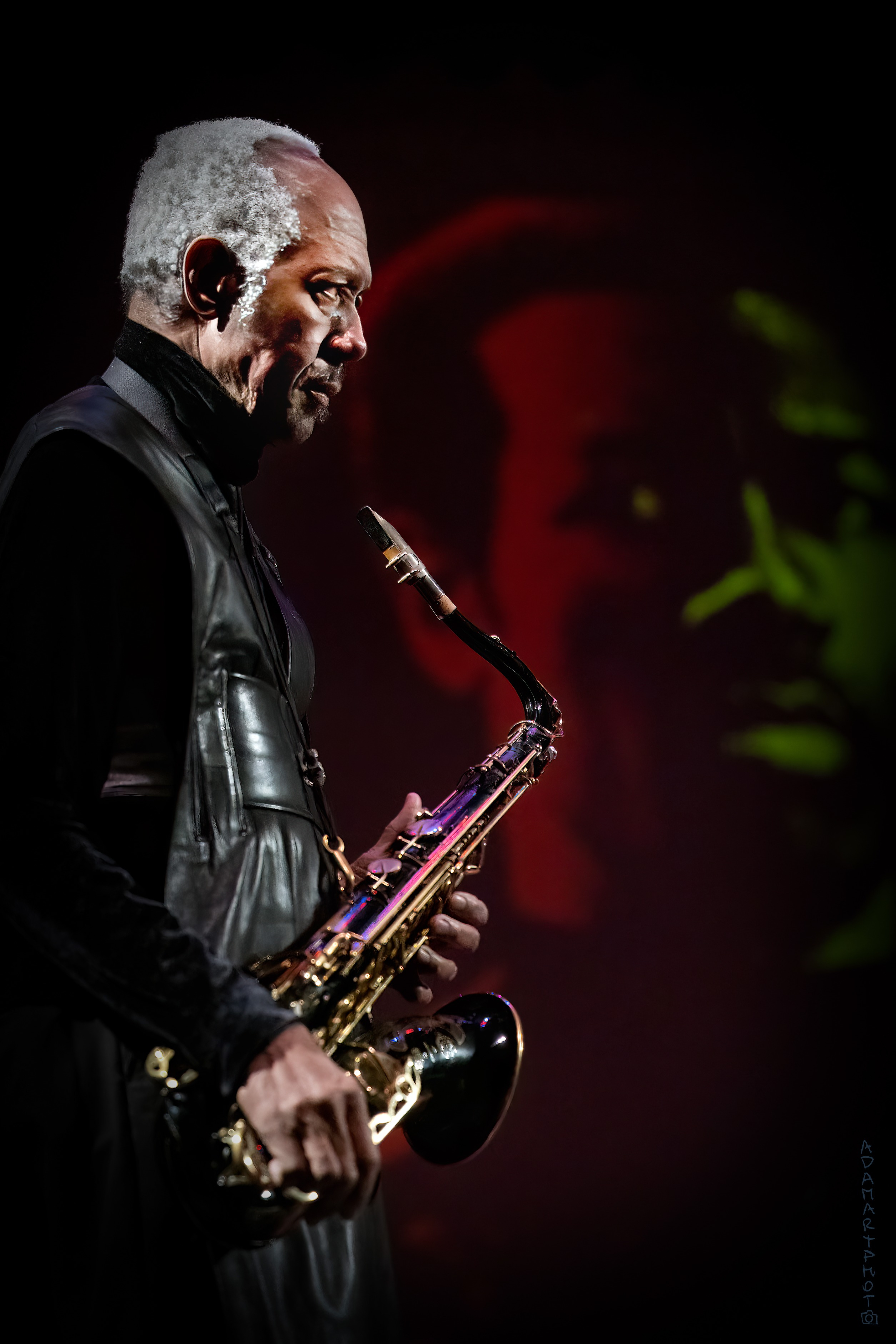油絵絵画アートインテリア oil painting Billy Harper Billy Harper #1 Photograph by Lindy Pollard - Pixels